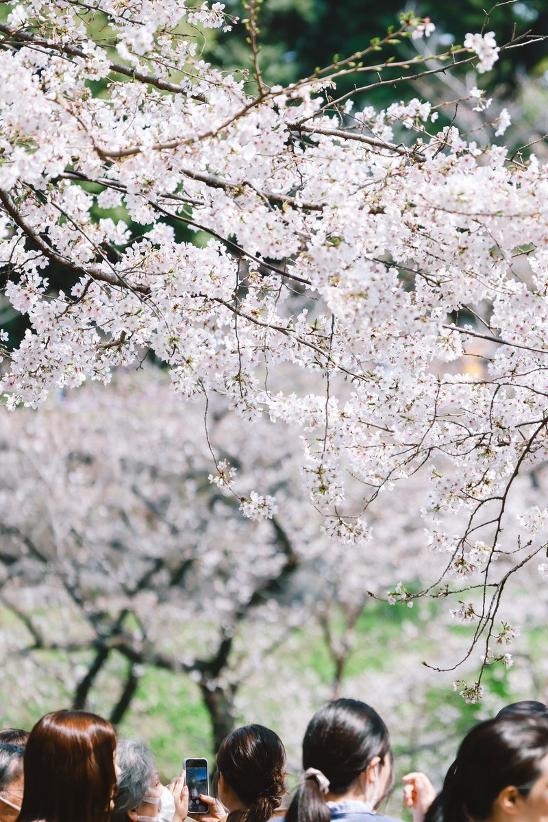 Taishi Arashida tweet media