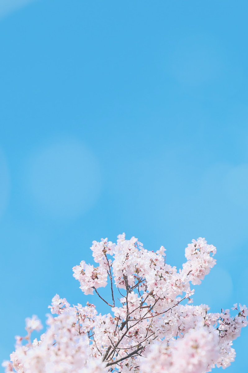 Taishi Arashida tweet media