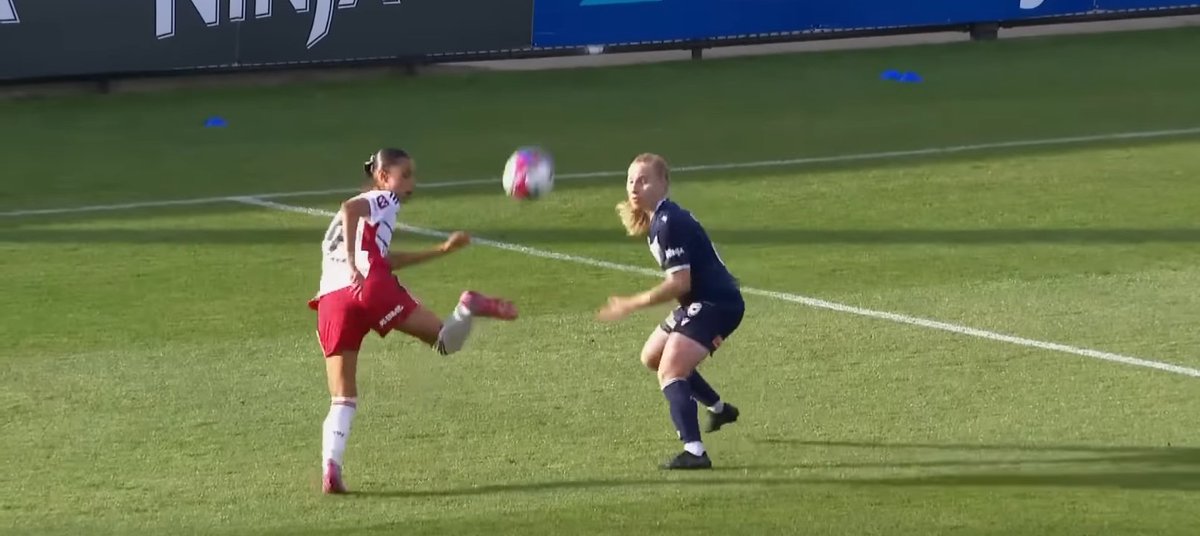 David F. tweet media