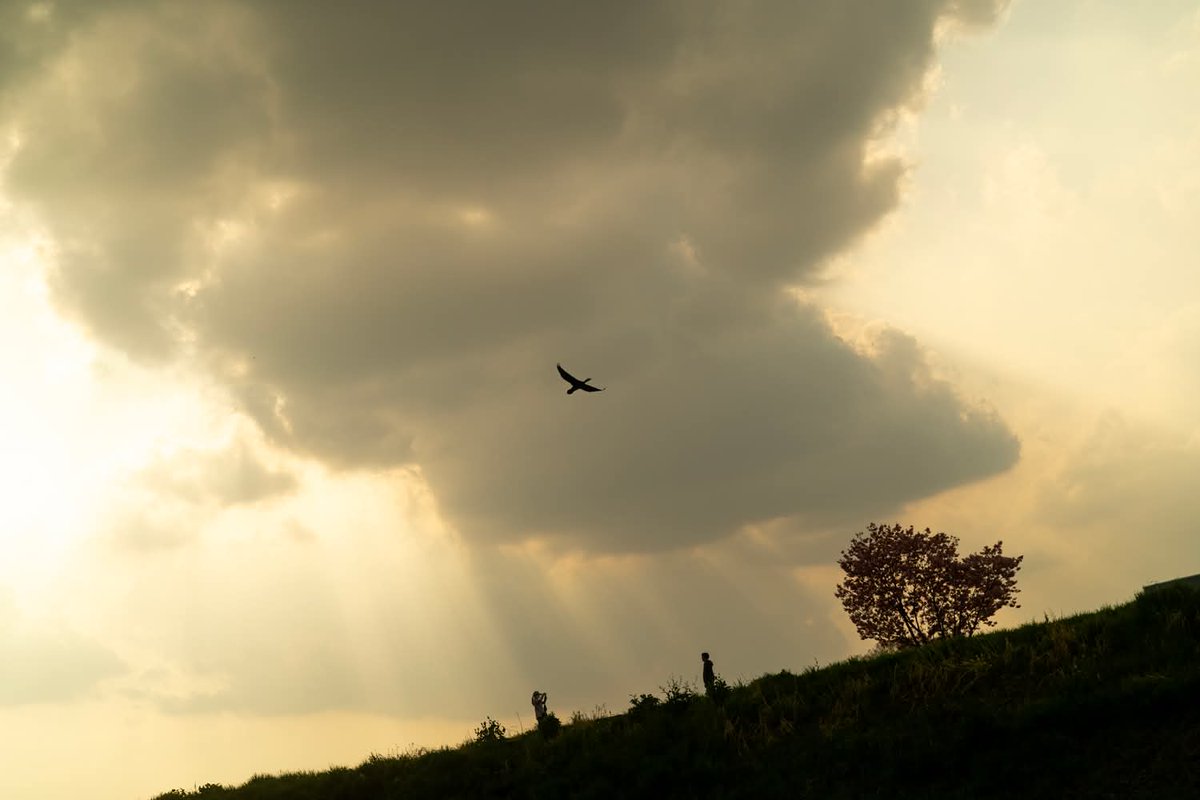 Kouji Tomihisa tweet media