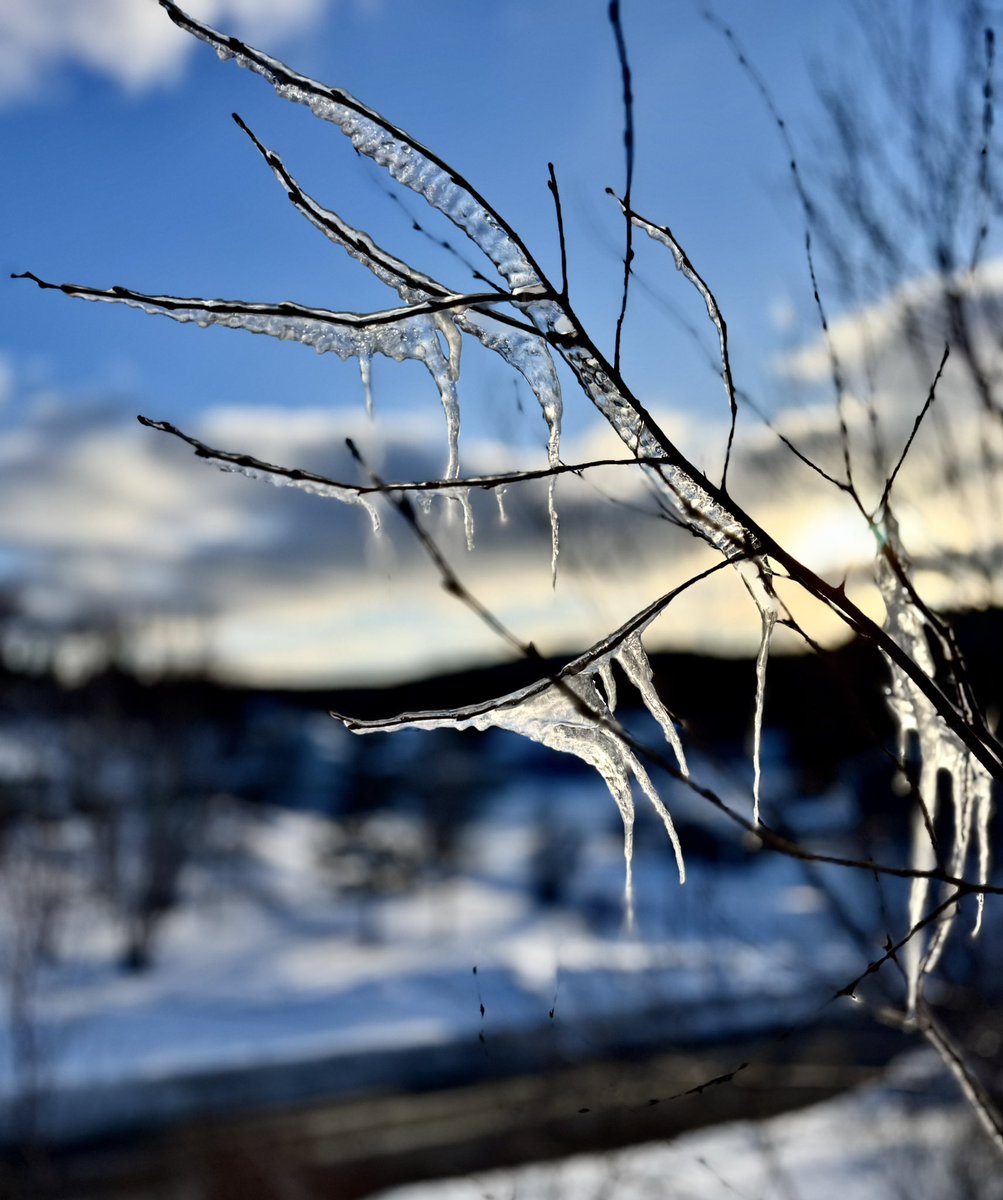 Connie Boland #querying #fiction tweet media