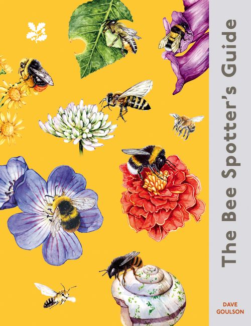 Lindahill50Hill's tweet image. I've not been able to read much recently so I'm delighted to share my #bookblogger #review of #nonfiction #TheBeeSpottersGuide by @DaveGoulson out from @HarperCollinsUK @nationaltrust
wp.me/p5IN3z-lze