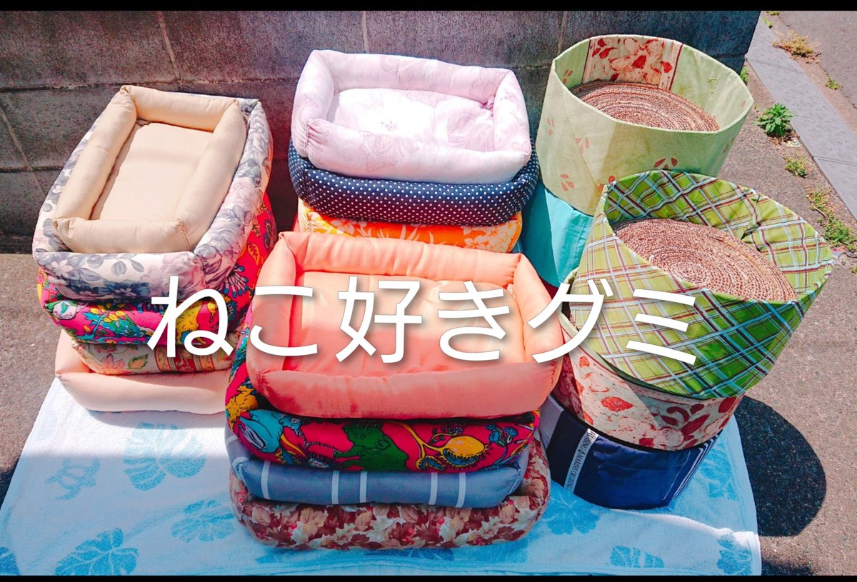 【H.fm】ねこ好きグミ🍢🌾💕 tweet media