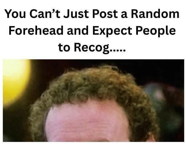 LadiesWhoTrek tweet media