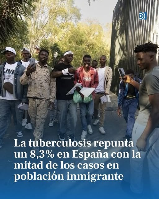 🇪🇸 🆂🅰🅽🆃🅸 🇨🇭 🅶🆄🅸🆁🅸 🇪🇸 tweet media