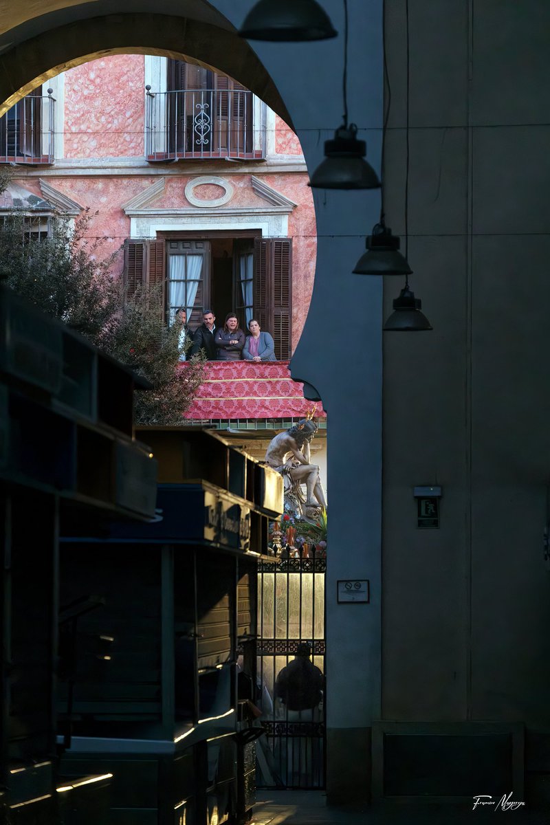 Francisco Mayorga 📷 tweet media