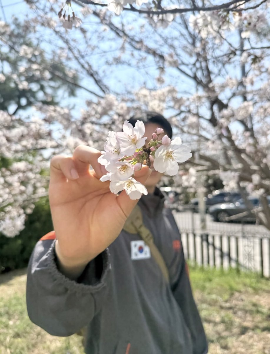 𝑿𝒖 tweet media