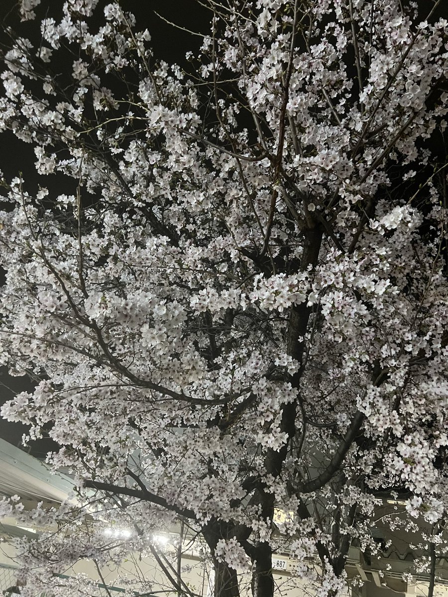 高木 ぬぬぬ @🎵 Soundrops Ⅱ全通💧 tweet media