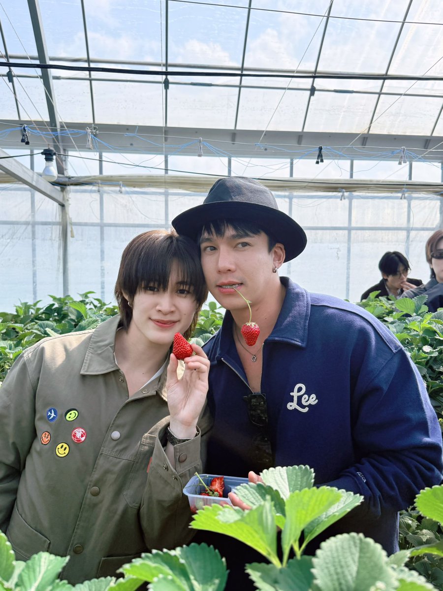 teetut archive tweet media