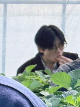 teetut archive tweet media