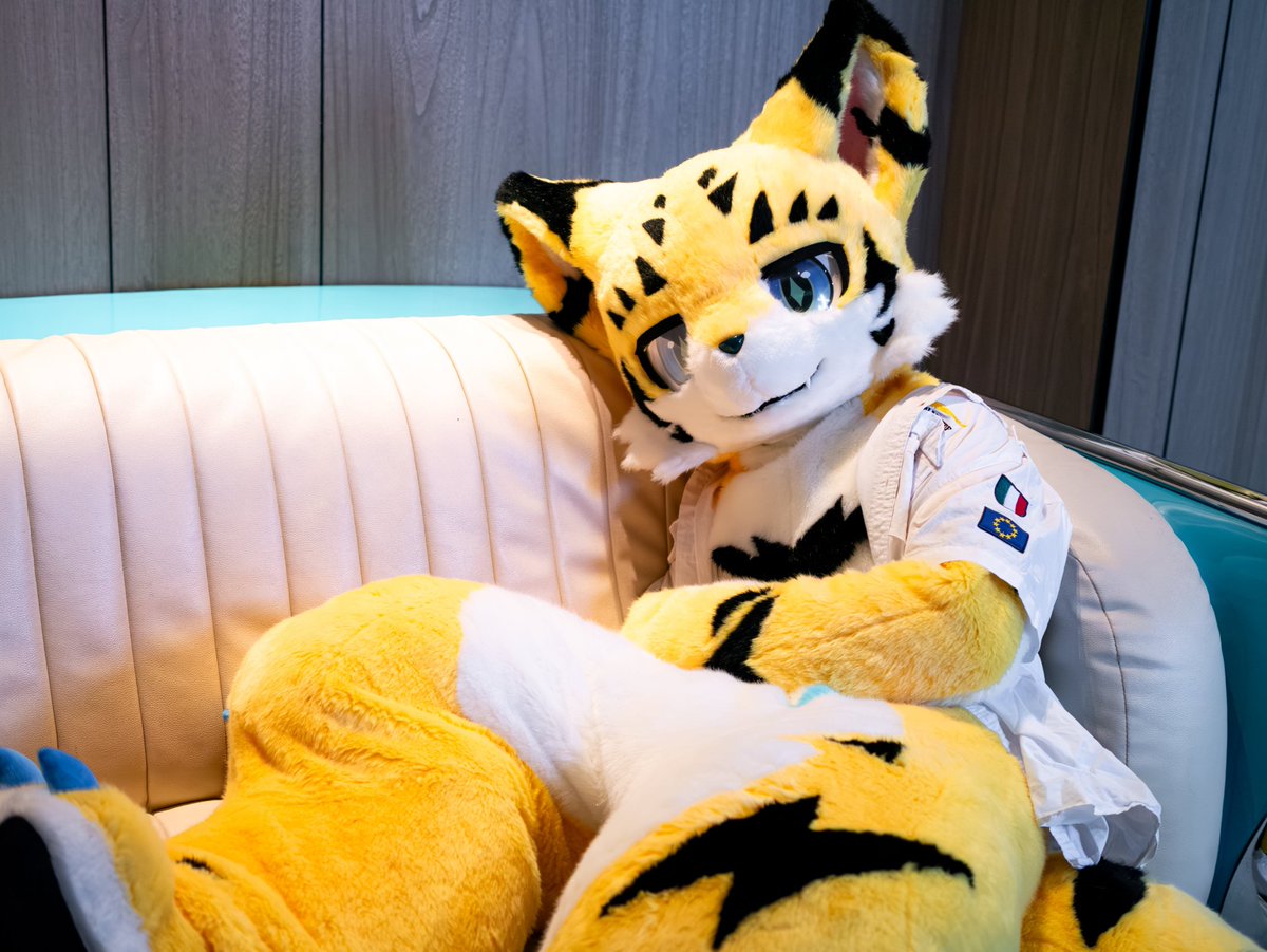 明弦Meigen➡UTFG2026 tweet media