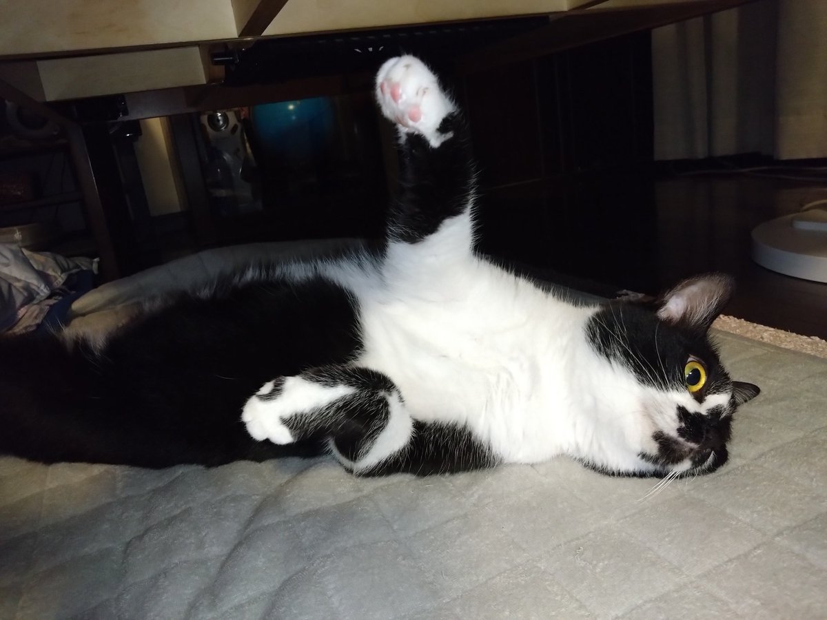 samayasu tweet media