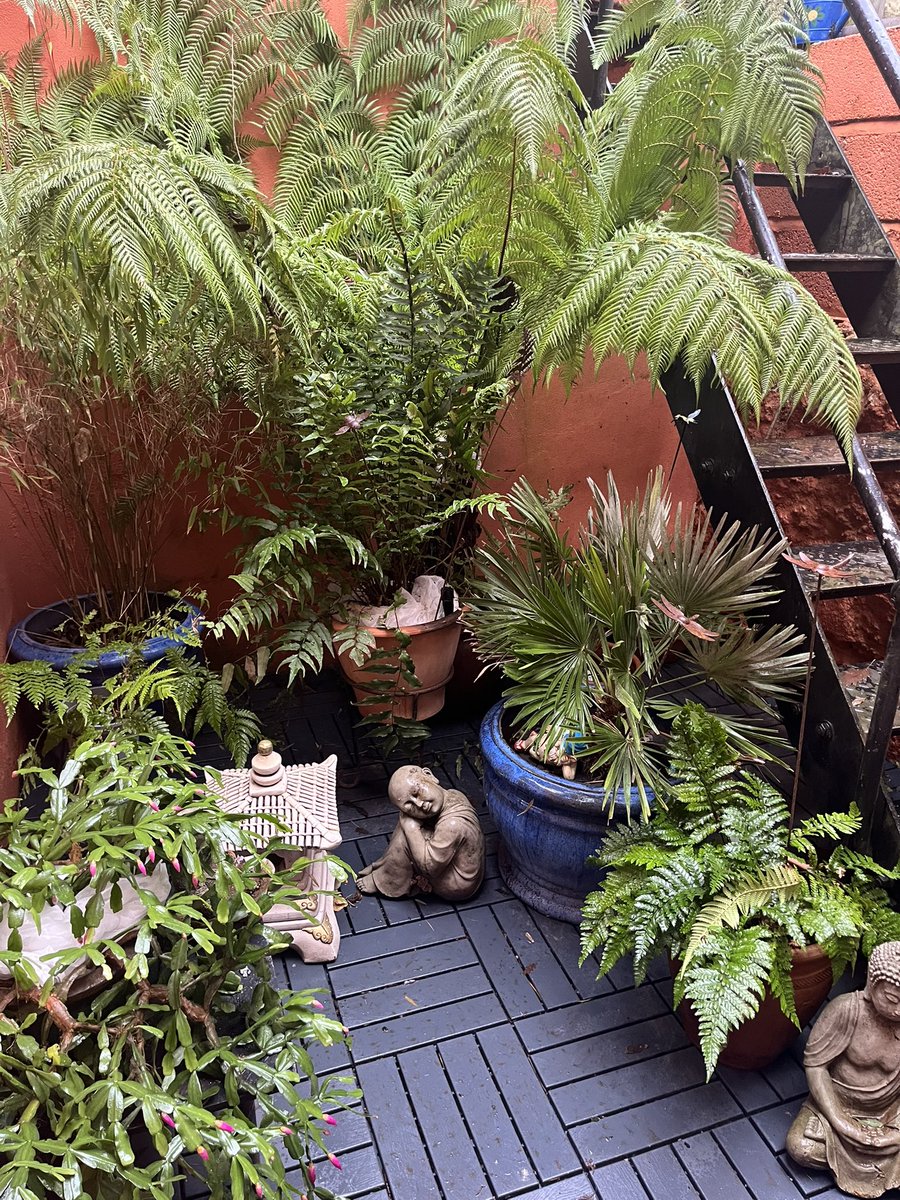 Fiona Milton (Nicholson) tweet media