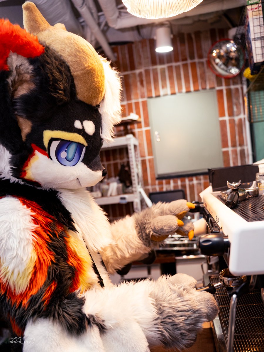 제비룡 / 제룡이 tweet media