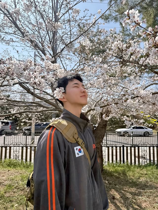 svt contents tweet media