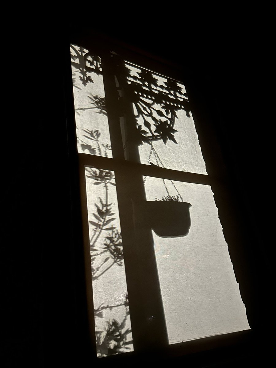 sponge trade centre tweet media