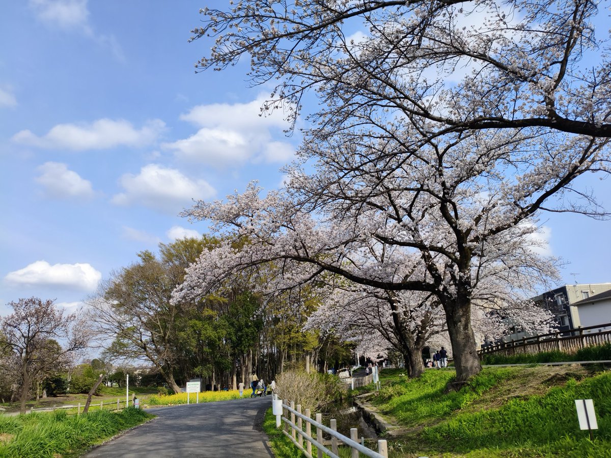 唐司 誠＠行政書士@さいたま市 tweet media