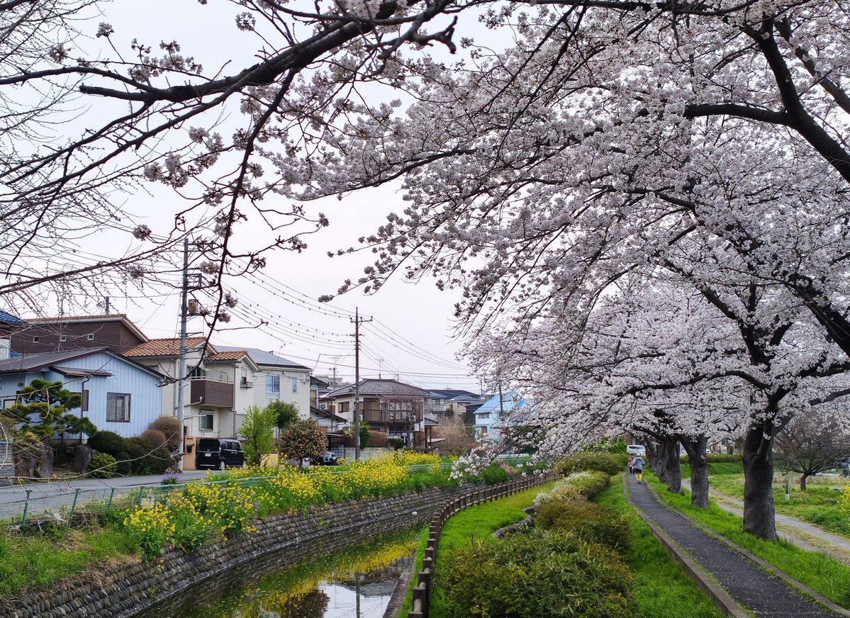 唐司 誠＠行政書士@さいたま市 tweet media