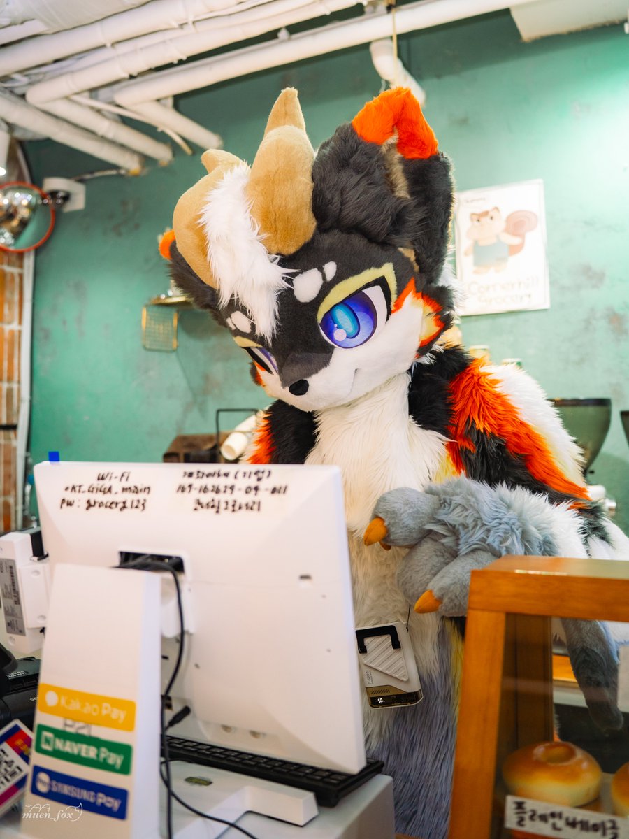 제비룡 / 제룡이 tweet media