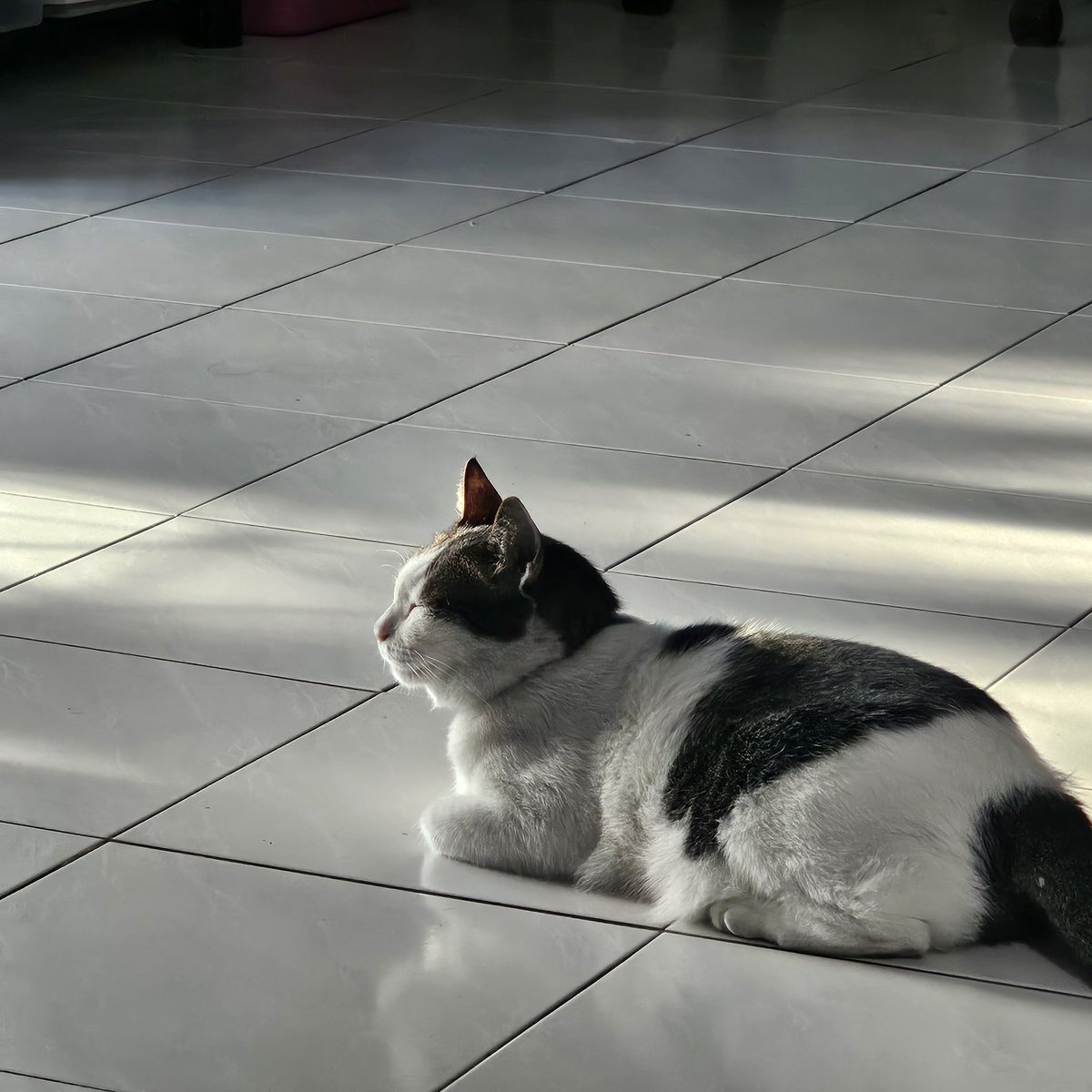 earth 👾🌟 tweet media