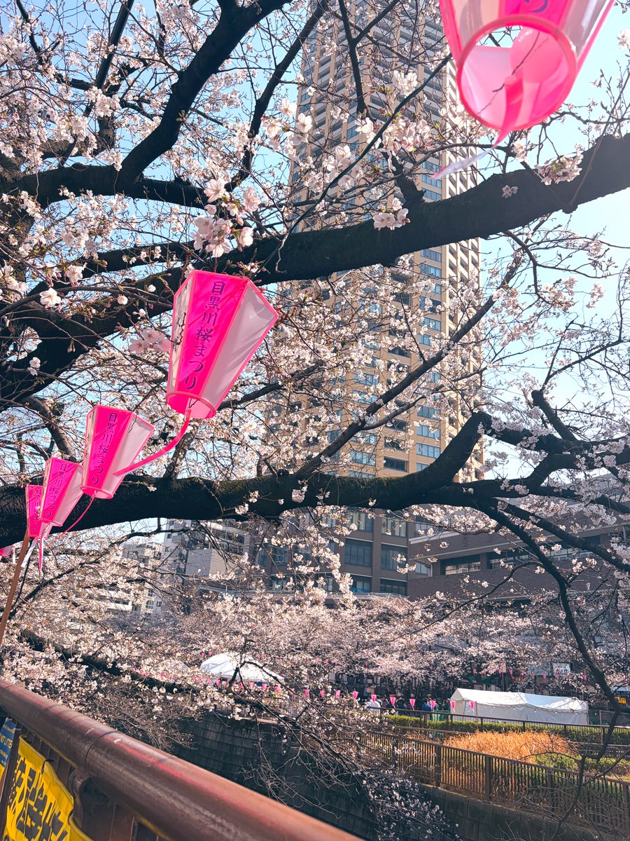 もるか tweet media