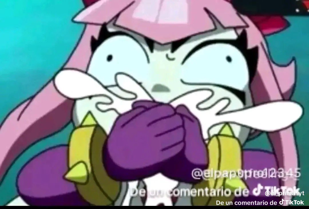 Rakkun.. tweet media