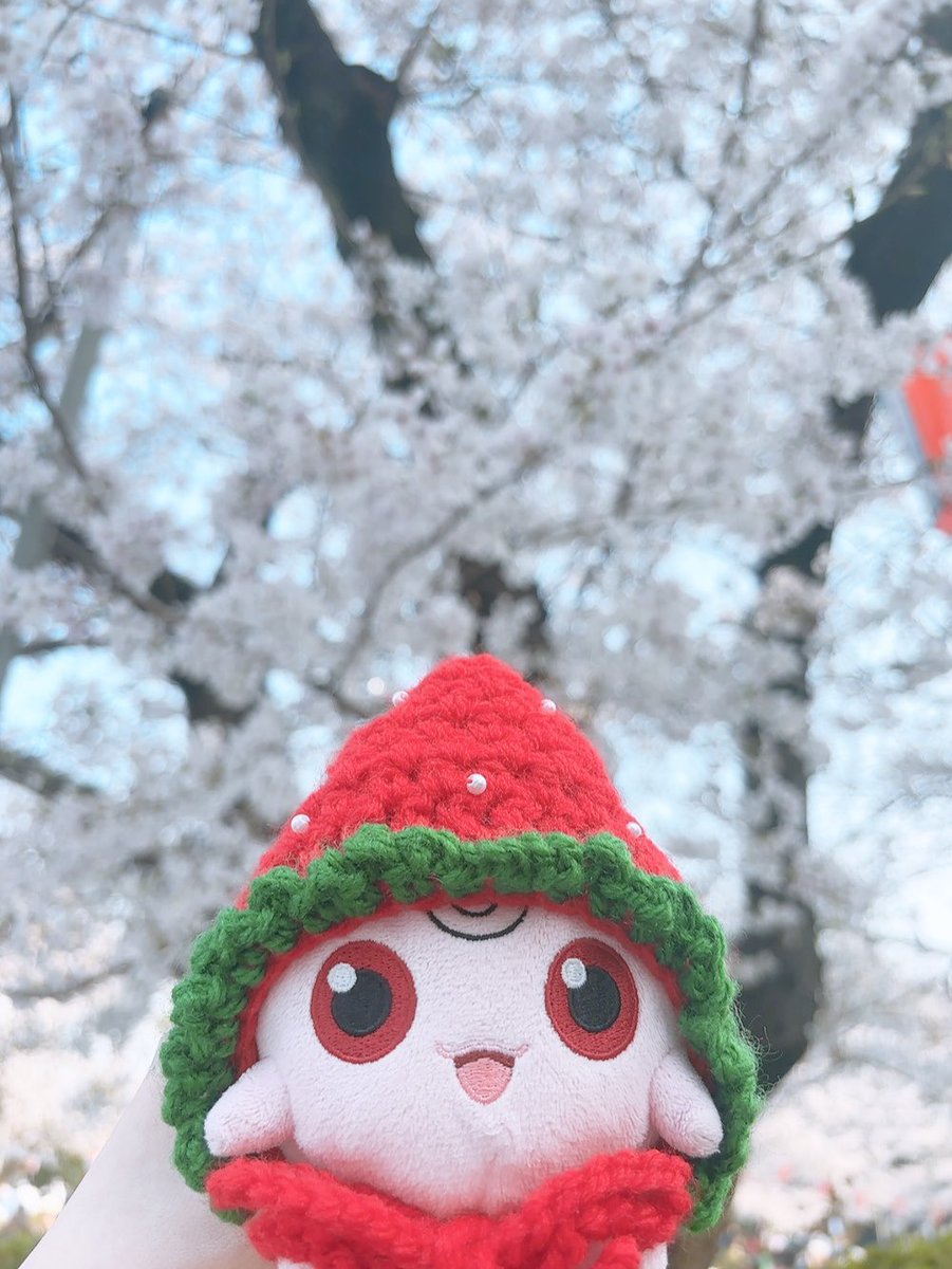 ププリンのぷぷ tweet media