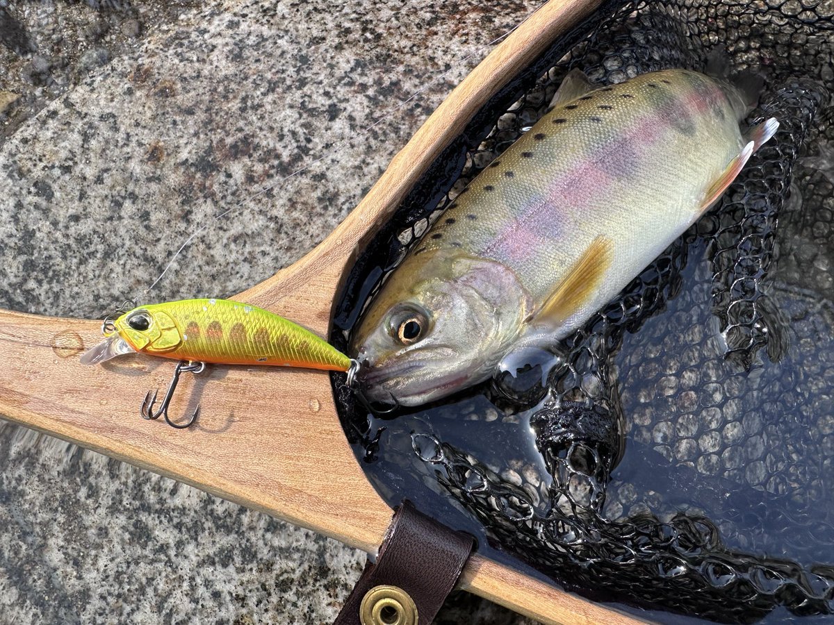 飯島一貴 tweet media