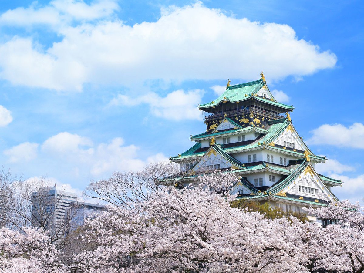 関西ないと会＠めい🎀 tweet media