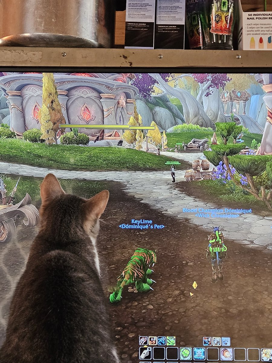 Cotin⚔️fire🇨🇦💜 tweet media