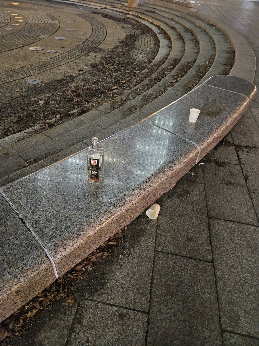 ねーこ tweet media