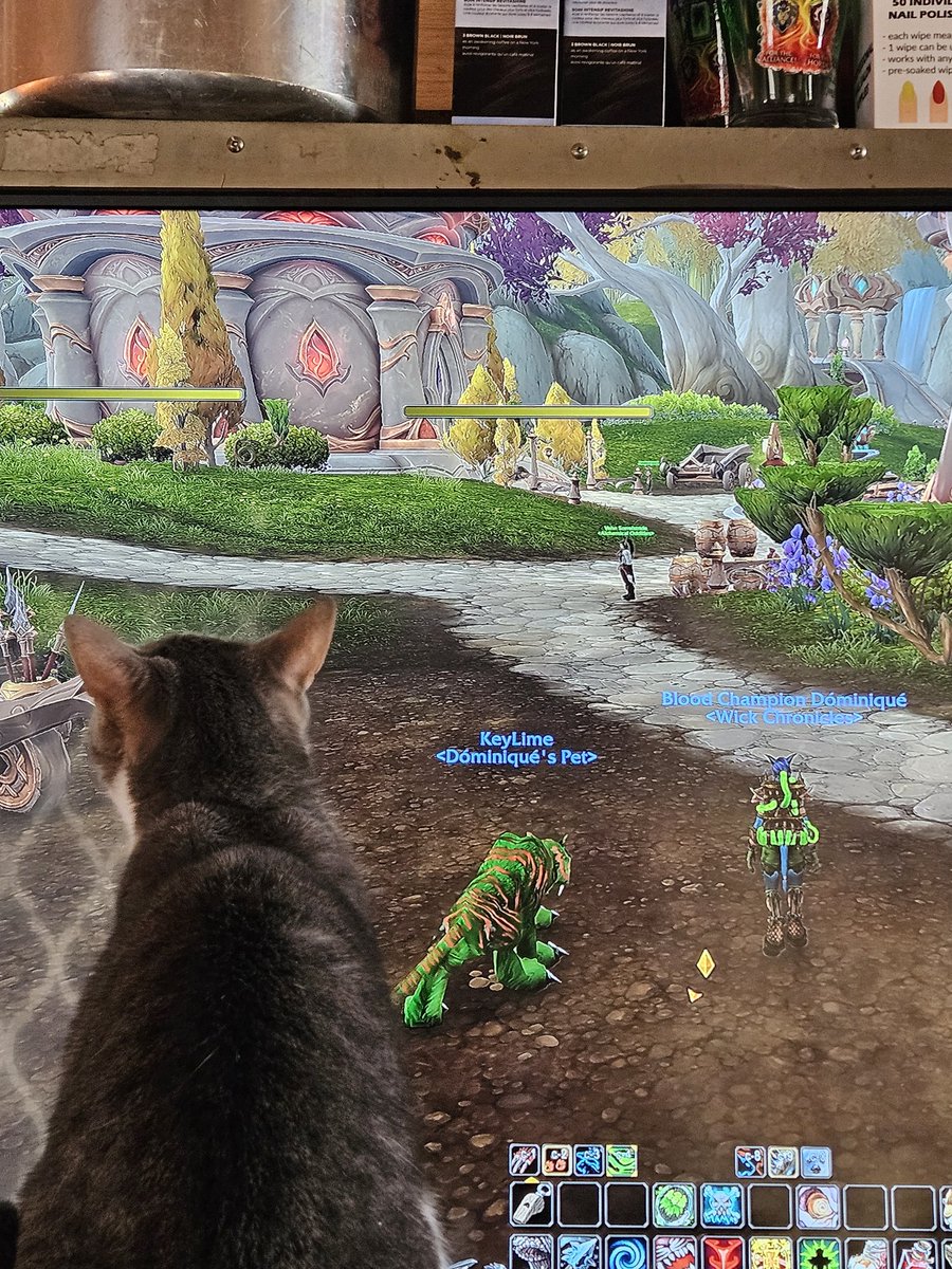 Cotin⚔️fire🇨🇦💜 tweet media