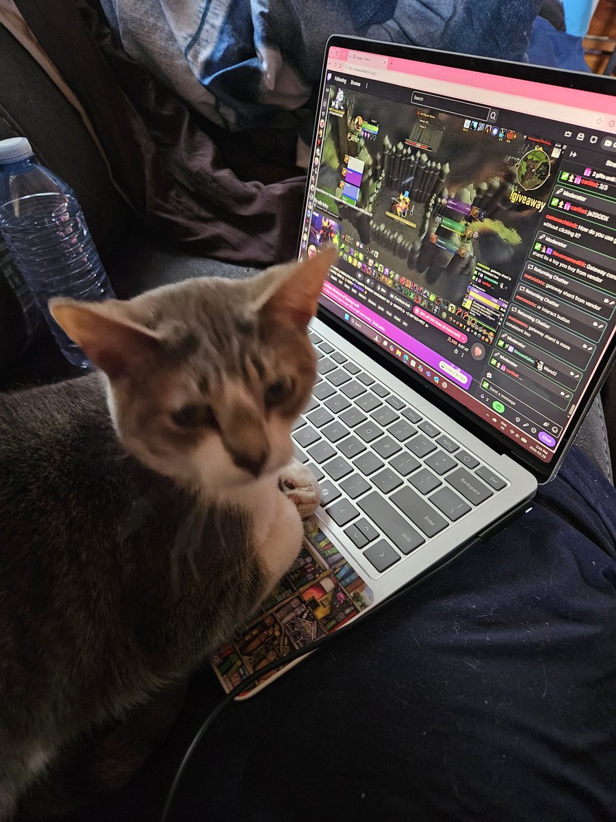 Cotin⚔️fire🇨🇦💜 tweet media