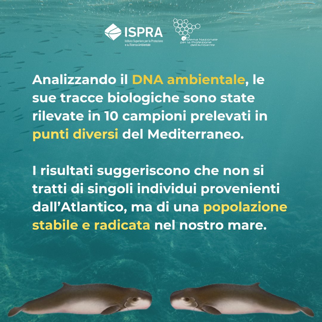 ISPRA - Ist. Sup. Protezione e Ricerca Ambientale tweet media