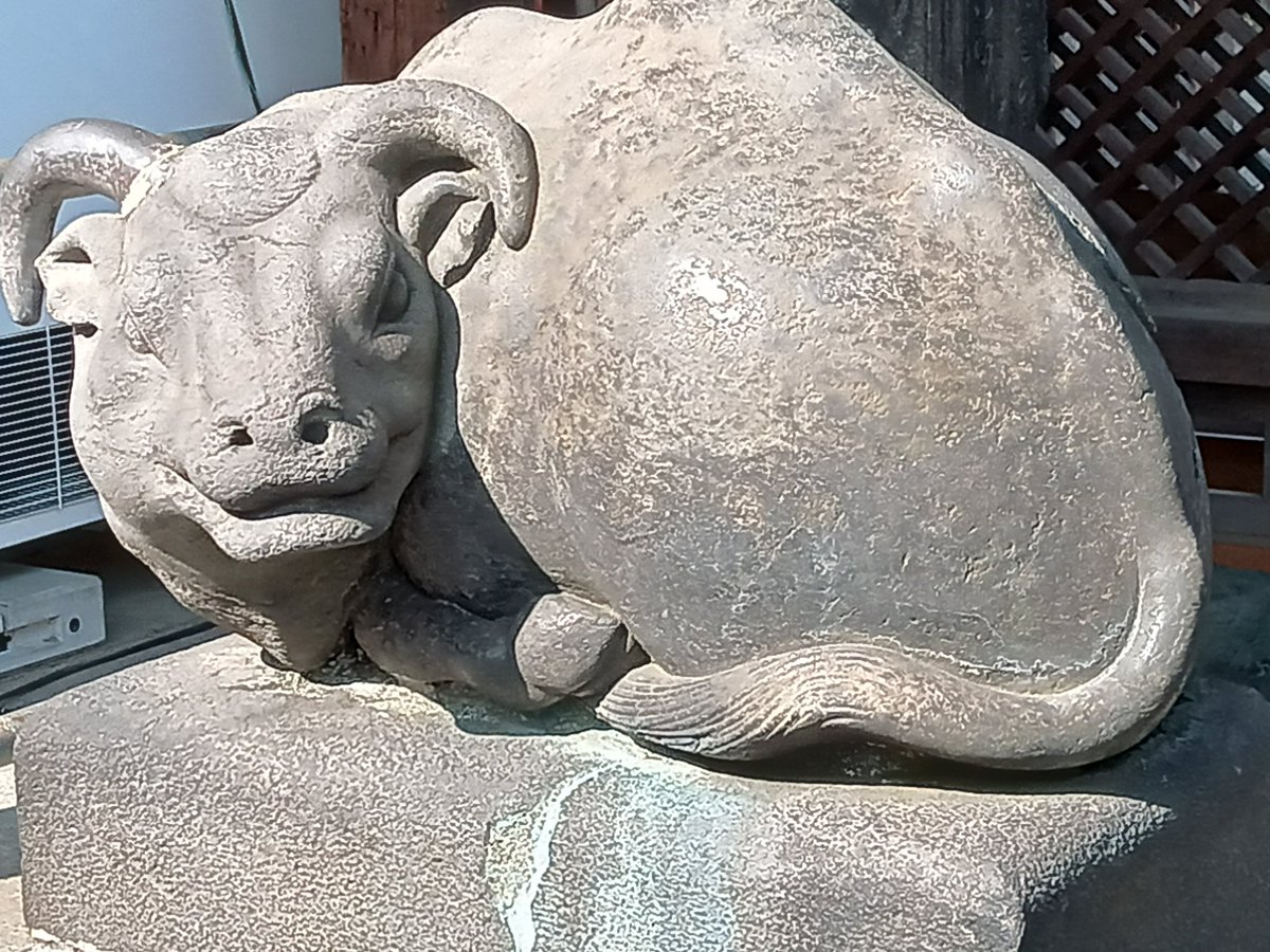 ⚽ヒロ⛹️♂️ tweet media