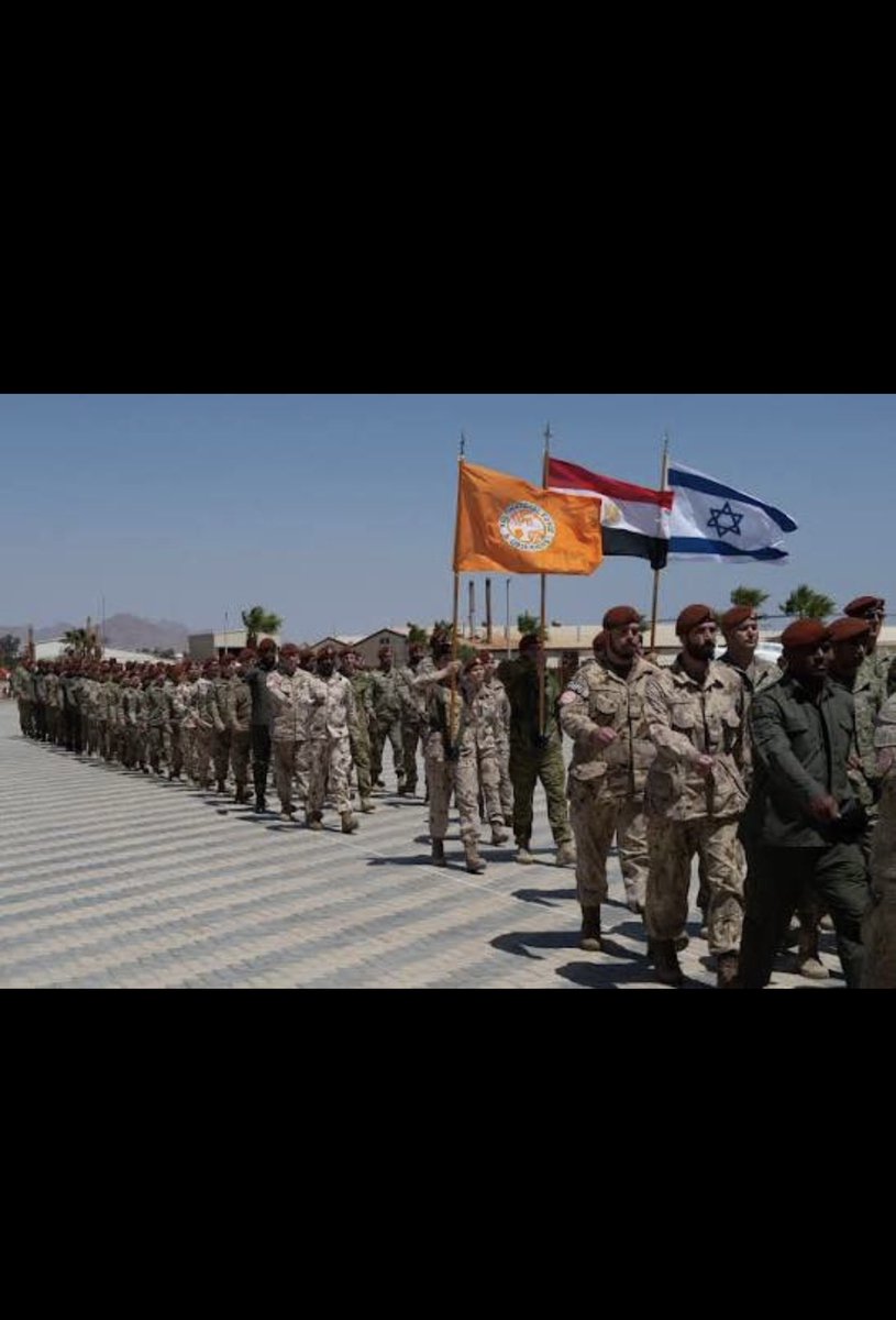 حبيب الوطن tweet media