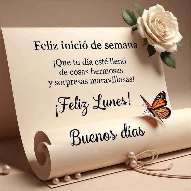 Buen día. Buen Lunes 🇻🇪
Qué bonito es abrir los👀ojos por la mañana y ver la claridad de un nuevo día Gracias mi Dios por este milagro de vida 
Mis corazones espero qué todos se encuentren bien 
Qué tengan una semana muy bendecida y llena de luz para todos
Dios nos bendiga Amén🙏
