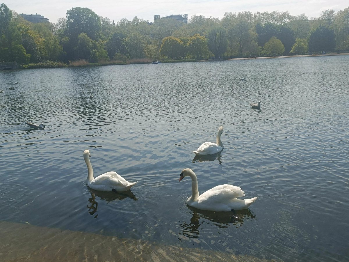WantDis_CAke's tweet photo. It’s so nice to take a break during my lunch hour to go to the park, soak up some sun, breathe in the fresh air, and admire the flowers!

#LifeInLondon #LondonWorker #SpringInUK https://t.co/YxnESfgD0V