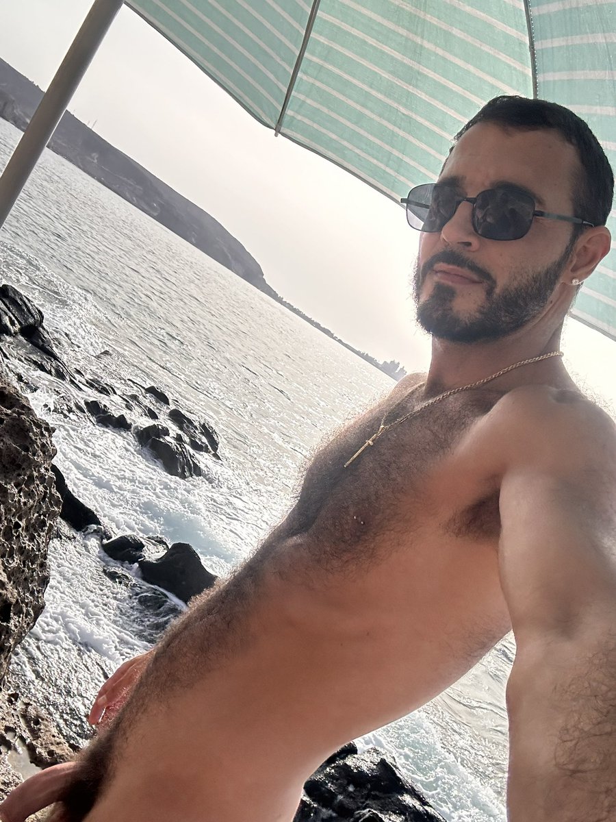 tu gato canario 🇮🇨 tweet media