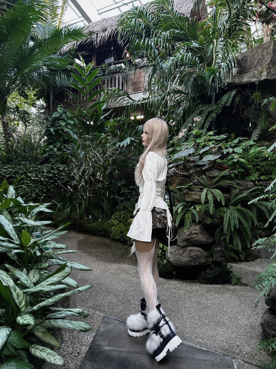 星月夜あむ【べロティカ】11/10Zepp Diver City tweet media