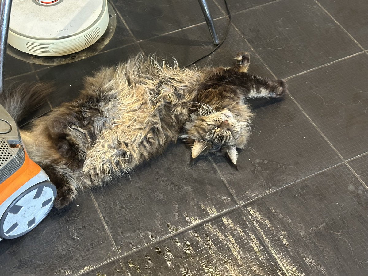 Kostick73 tweet media