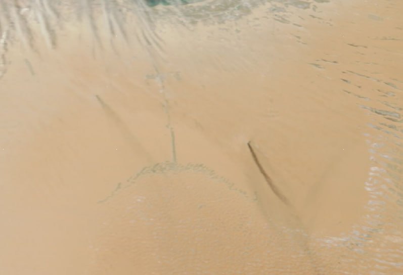 Arab-Military tweet media