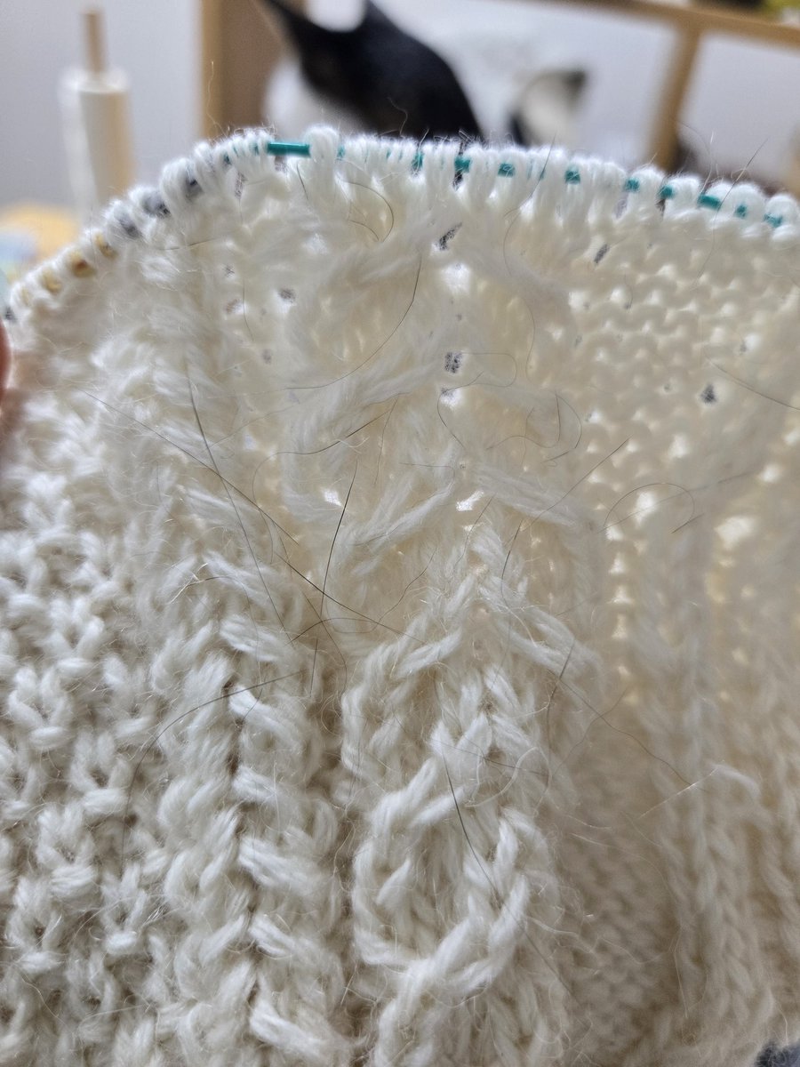 핫뜨걸🧶 tweet media