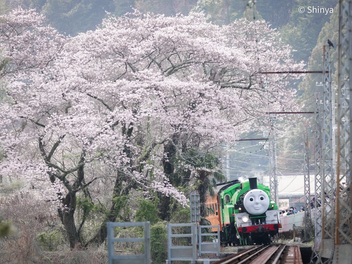 しん鉄 tweet media