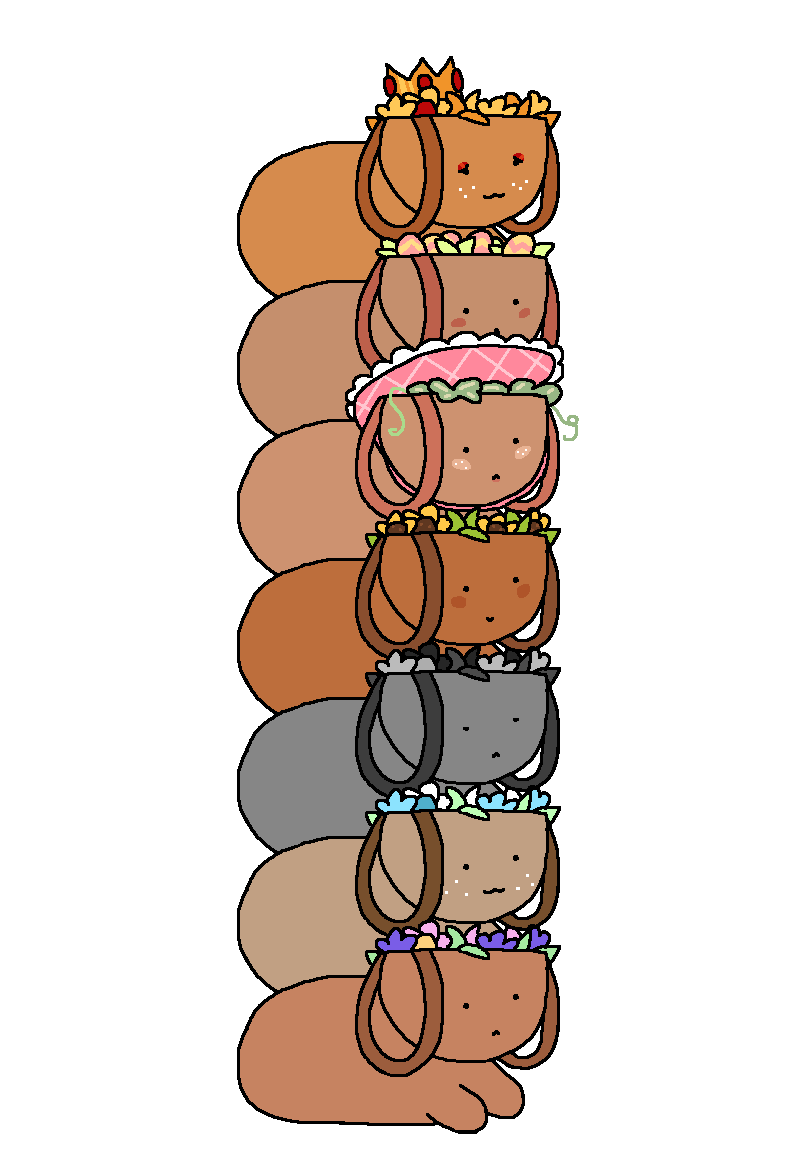 ✿ ˚｡ Basketbrain ｡˚ ✿ 🧺🌺 | BASSIE IS HOME tweet media