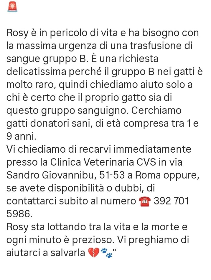 lamustars's tweet image. 🆘 Perfavore fate girare!!!
Sta rischiando la vita la nostra Rosi 💔
#Rosi #Sos #Rosisiamoconte