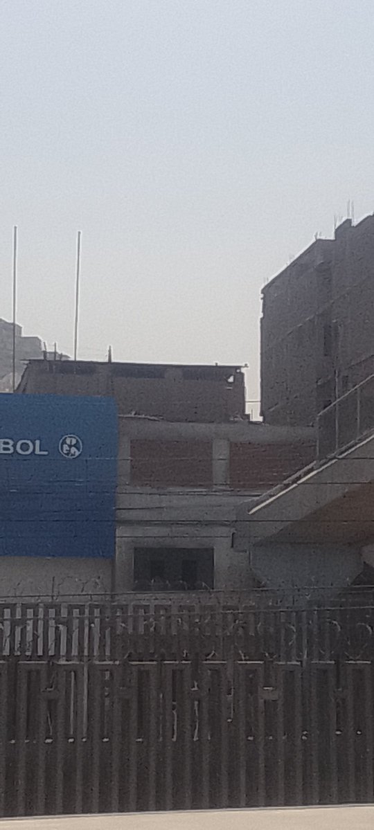 Fan de Malandros Caletas tweet media