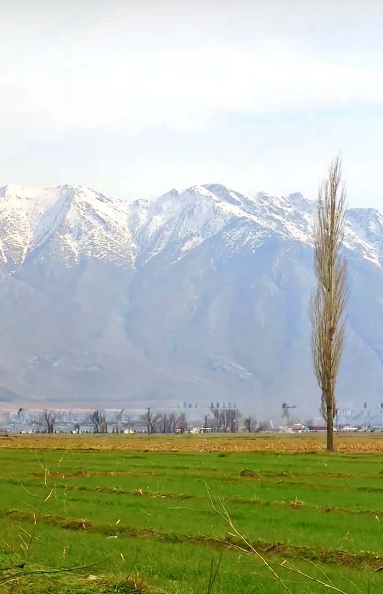 Celalettin Güneş tweet media