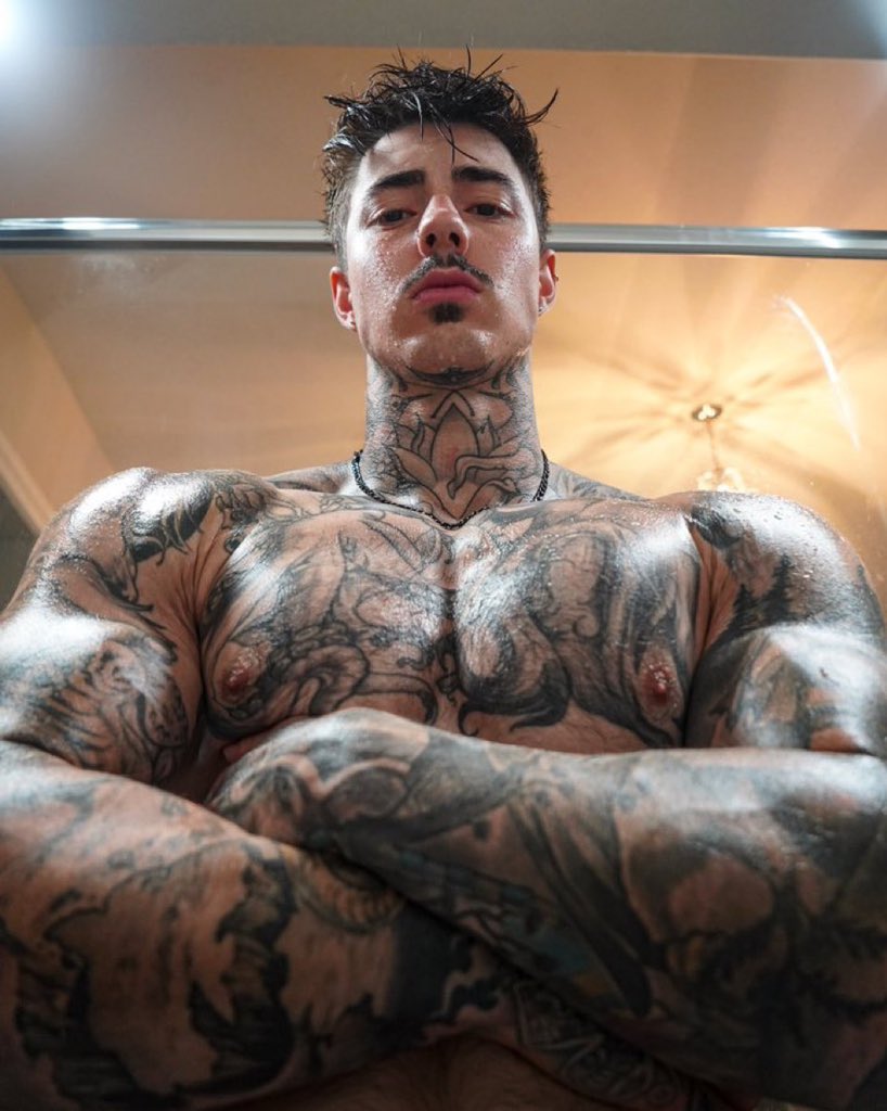 Paulo Alecrim tweet media