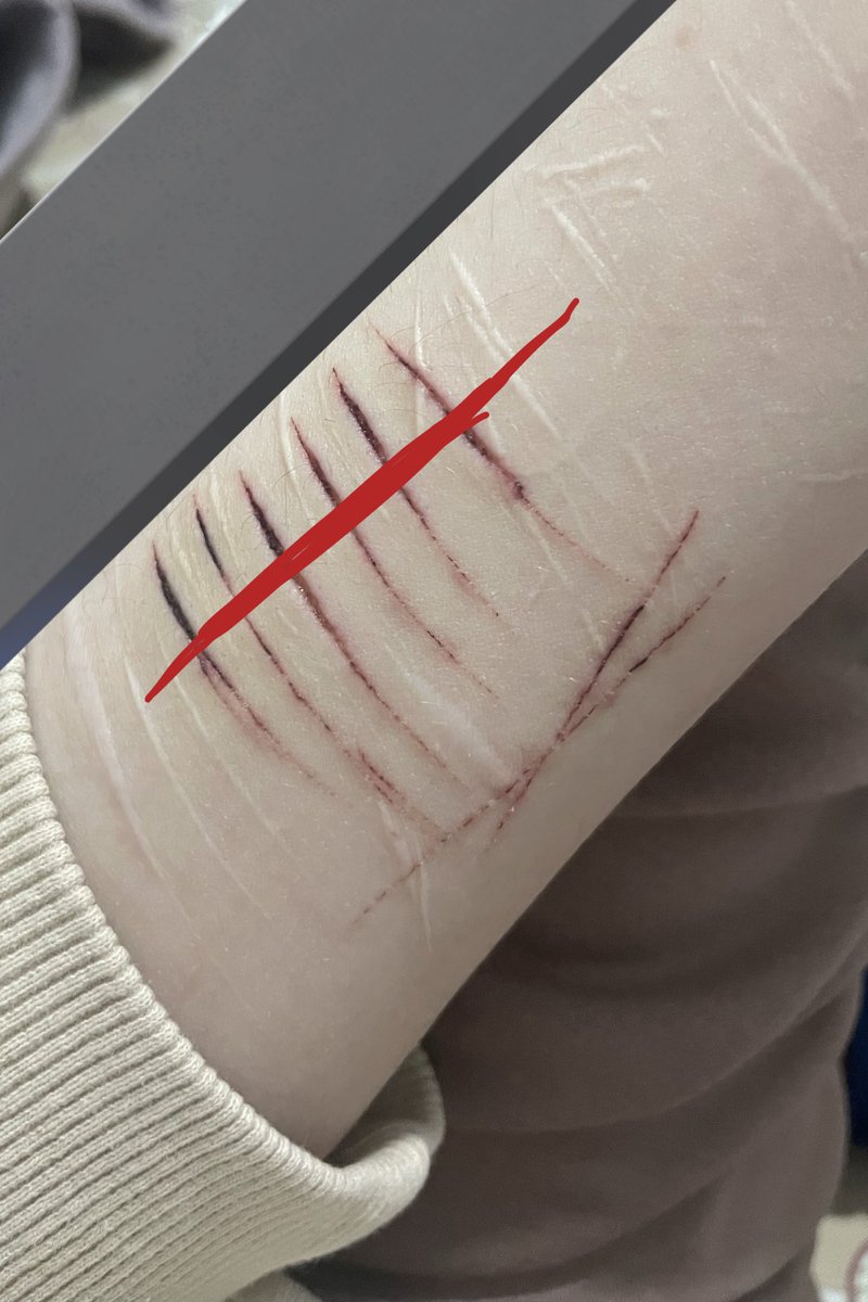 miulin ⋆. tweet media